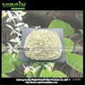 Epimedium Extract