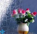 Float Glass 5