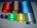 Polyester webbing for lifting Sling  1