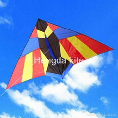 Sun bird kites