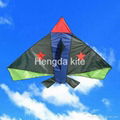 Kids plane kites 1