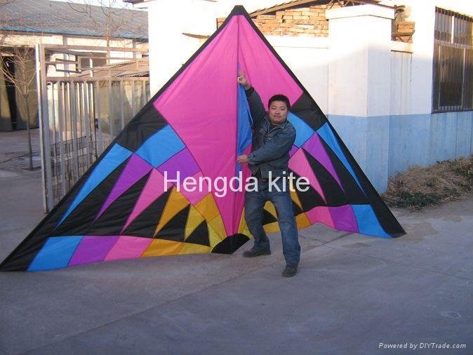 Hawaii big delta kite