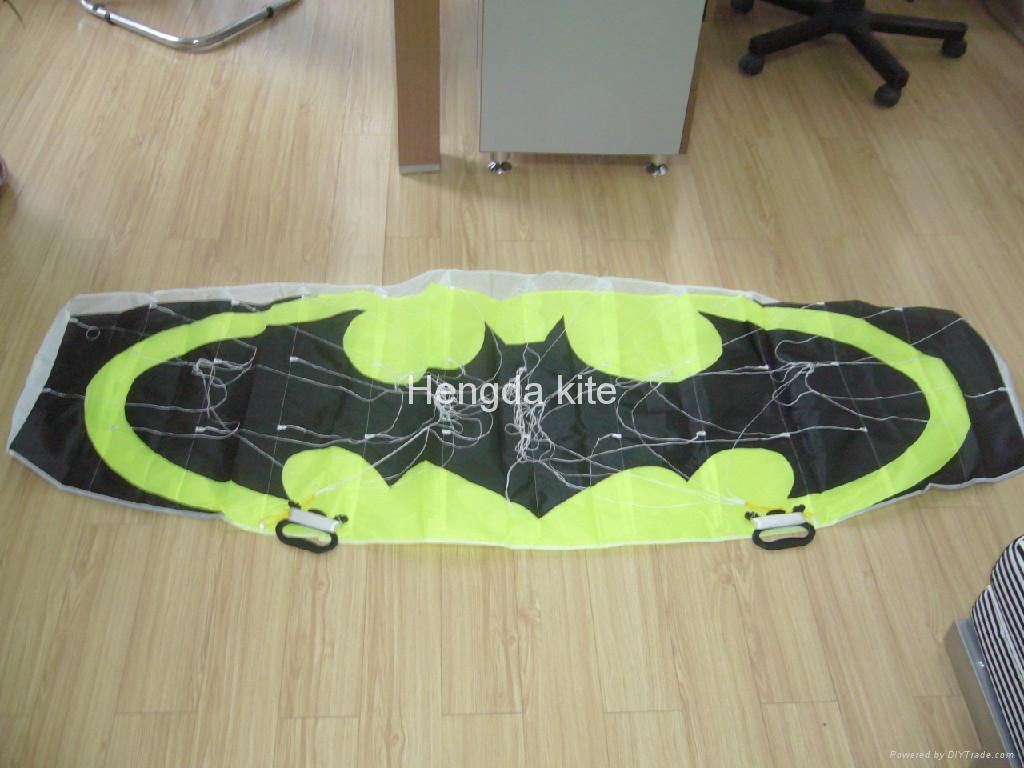 parafoil kite 2