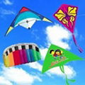 kite 1