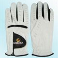  Golf Glove  1