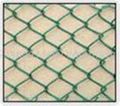 chainlink fences 3