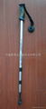 trekking pole with anti-shock 1