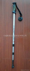 trekking pole with anti-shock