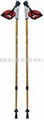 nordic walking stick