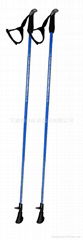 nordic walking stick