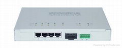 Optical Network Unit