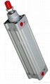 Pneumatic Cylinder