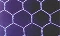 Hexagonal wire mesh 1