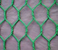 Hexagonal wire mesh 2