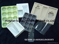 clamshell, plastic tray, plastic clamshell, blister clamshell, blister card 2