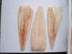 Alaska pollock fillets