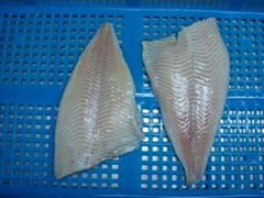 Frozen Yellow fin sole fillets