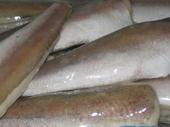 Froze Hake fillets