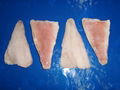 Red fish fillets