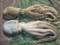 Poulp Squid Whole Round