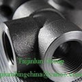 Forged Pipe Fittings