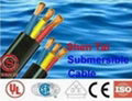 World Largest Submersible cable manufacturer 1