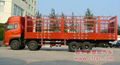 sell different types & functions of special purpose truck 2