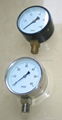 mbar gauge 1