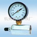 pressure gauge 2