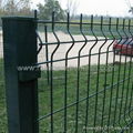 Welded Wire Mesh 2