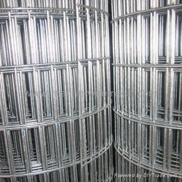 Welded Wire Mesh 3