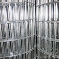 Welded Wire Mesh 3