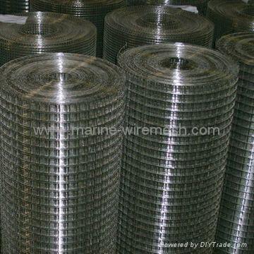 Welded Wire Mesh 4