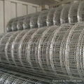 Welded Wire Mesh 5