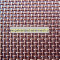 Brass Wire Mesh 3