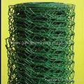 Hexagonal Wire Netting 1