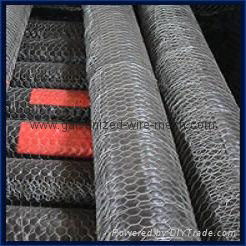 Hexagonal Wire Netting 2