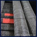 Hexagonal Wire Netting 2