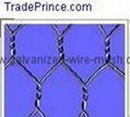 Hexagonal Wire Netting 3