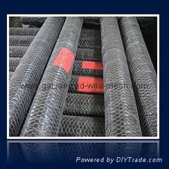 Hexagonal Wire Netting 4