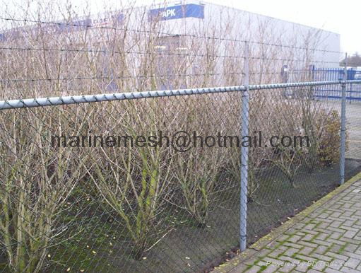 Chain Link Fencing 2