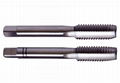 DIN 2181 2-pc Hand Tap Set(Taper, Bottoming) 1