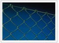 PVC coated chain link fence