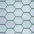 PVC coated hexagonal wire mesh