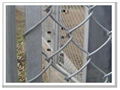 Chain Link Fence 1