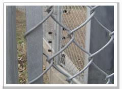 Chain Link Fence