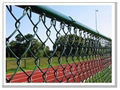 Chain Link Fence 3