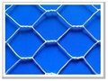 Hexagonal Wire Netting  1
