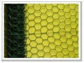 Hexagonal Wire Netting  3