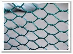 Hexagonal Wire Netting  4